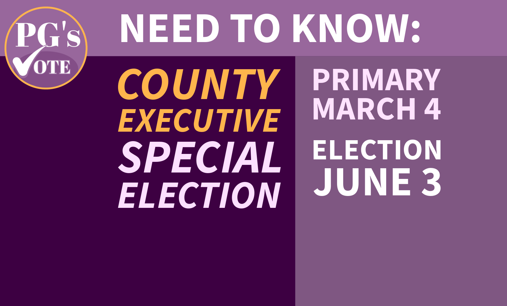 County Executive Race: What You Need to Know